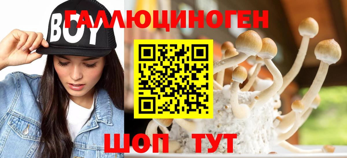 Галлюциногенные грибы Psilocybe  Вход с VPN  Кисловодск  Галлюциногенные грибы мицелий 